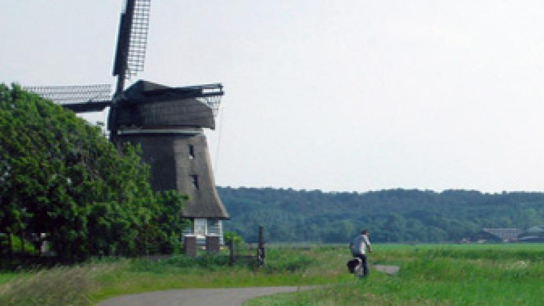 foto molen, weiland en bos