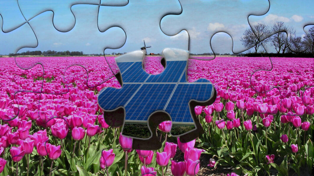 puzzel zonnepanelen in bollenveld