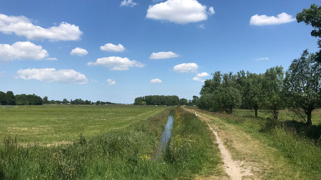 uitzicht op weiland en blauwe lucht met witte wolken