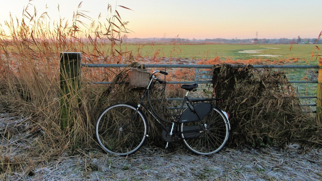 fiets met als achtergrond weiland