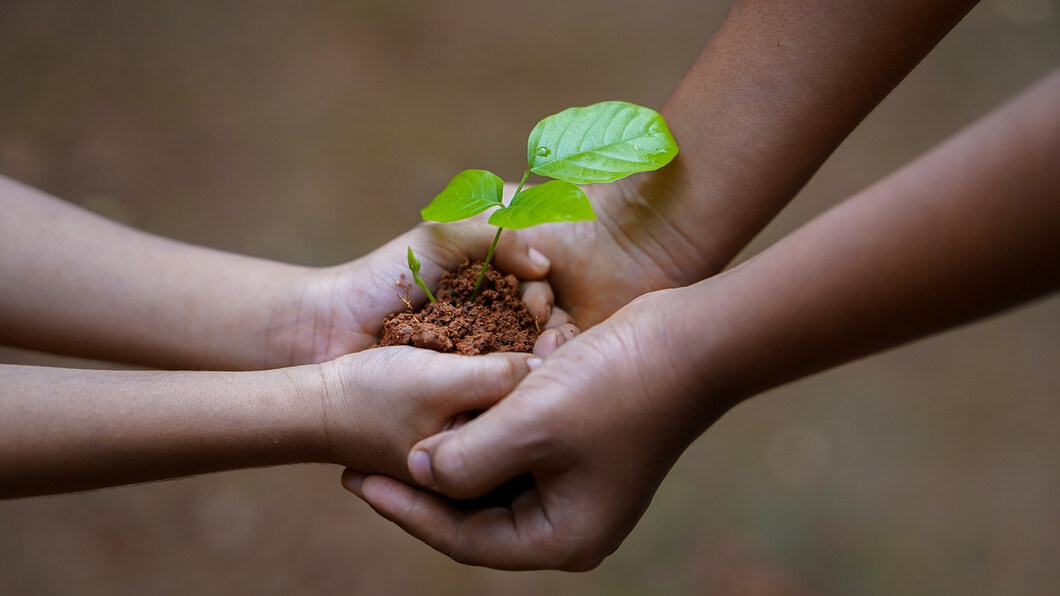 volwassene geeft zaailing plant aan kind