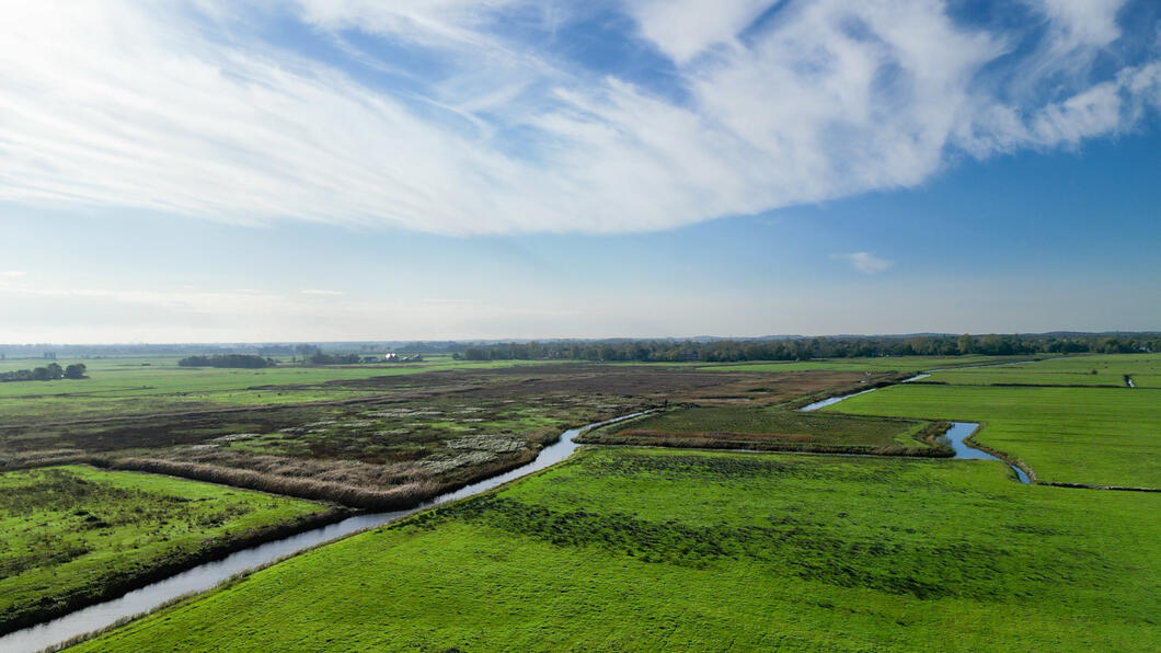 Zuurvensepolder