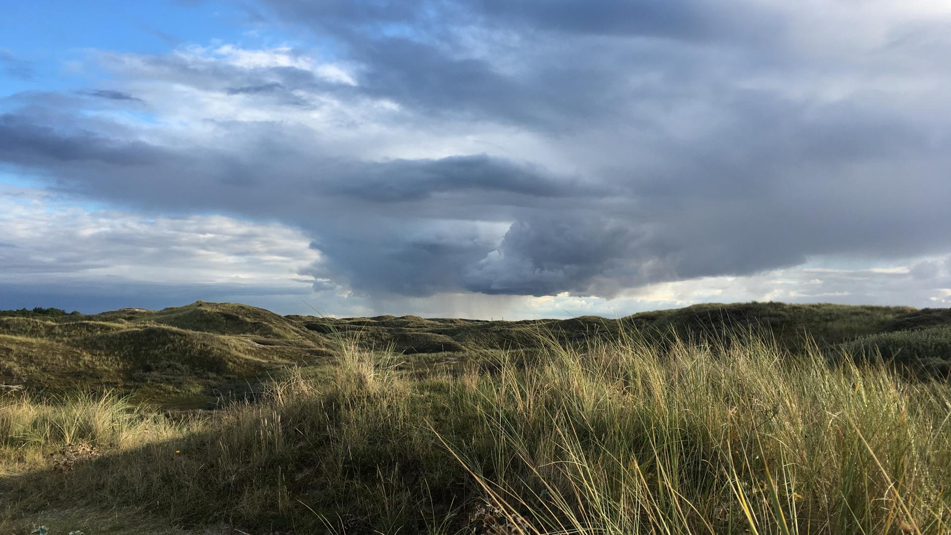 foto duinen Bergen Noord-Holland