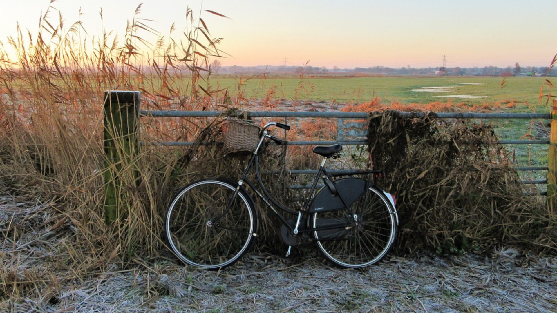 fiets met als achtergrond weiland